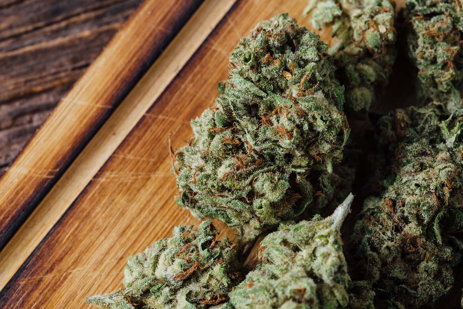 Premiere Provisions offers top cannabis products in Big Rapids