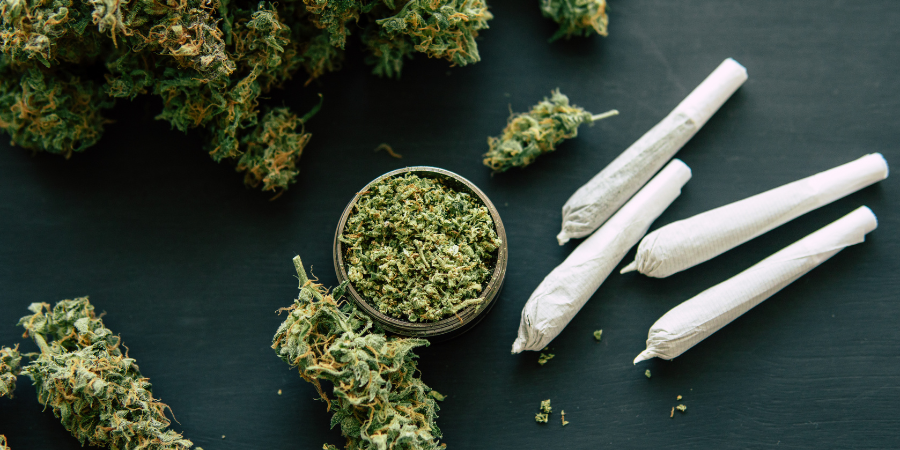 Organigram reports record cannabis revenue in Q2 2025