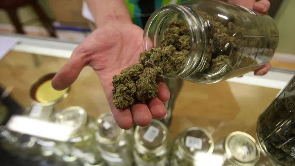 Shop Cannabisprodukte jetzt verfügbar in der Nähe von Saint Marys, PA