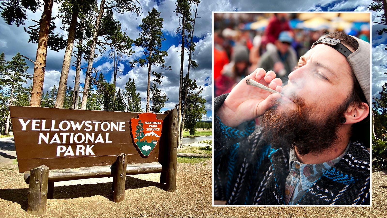 Cannabis-Verkäufer warnen vor der Mitnahme von Marihuana nach Yellowstone