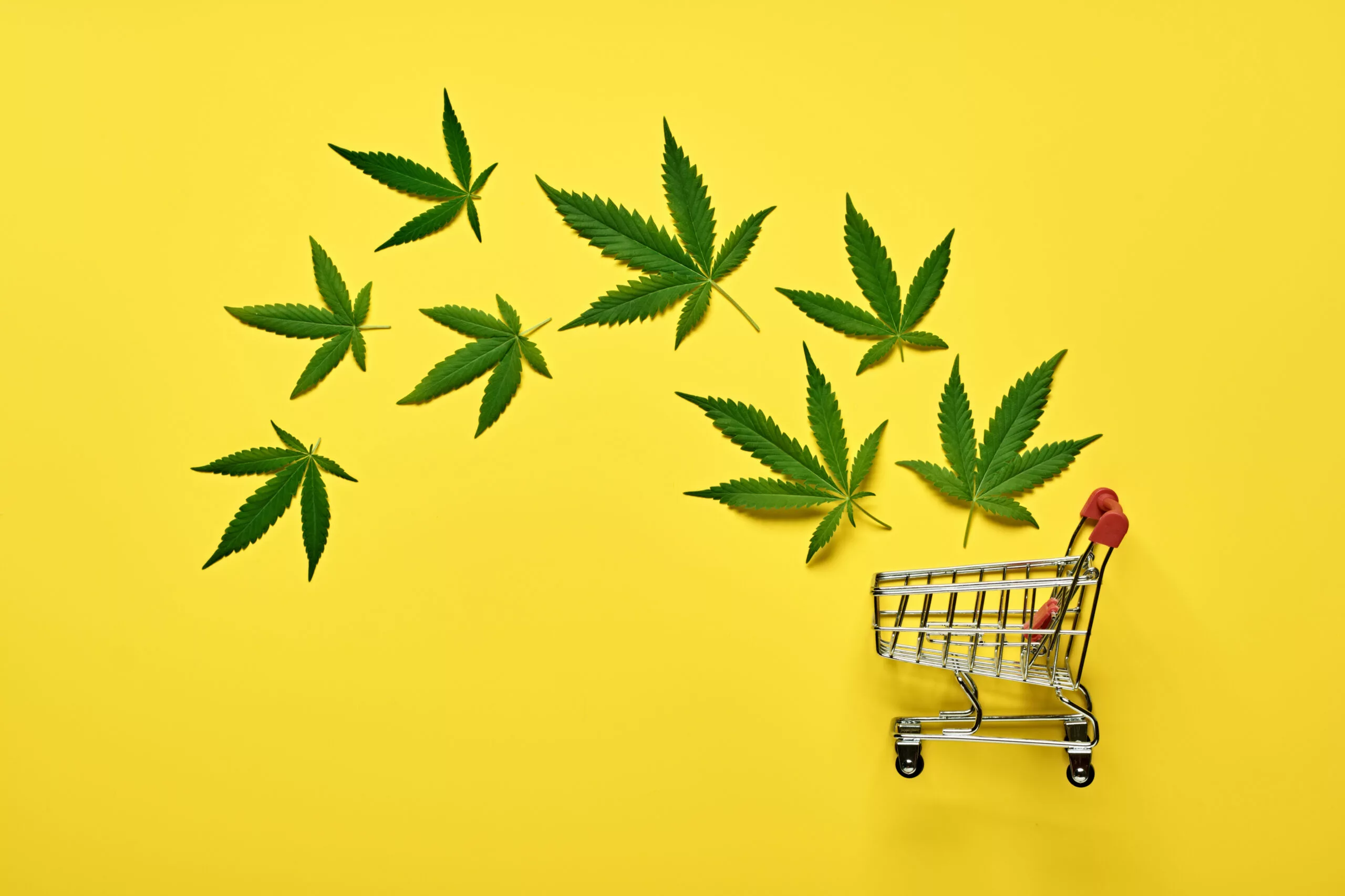D.C. cannabis sales reach record $9 million in April