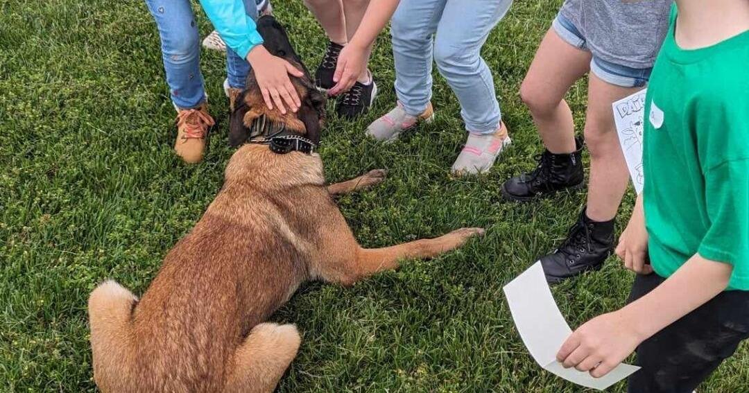 Eastonská policejní jednotka K-9 se přizpůsobuje změnám v nařízení o konopí