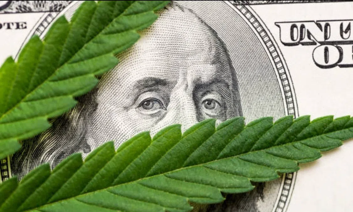 Cannabisverkäufe in Michigan sinken im April aufgrund des Preisverfalls