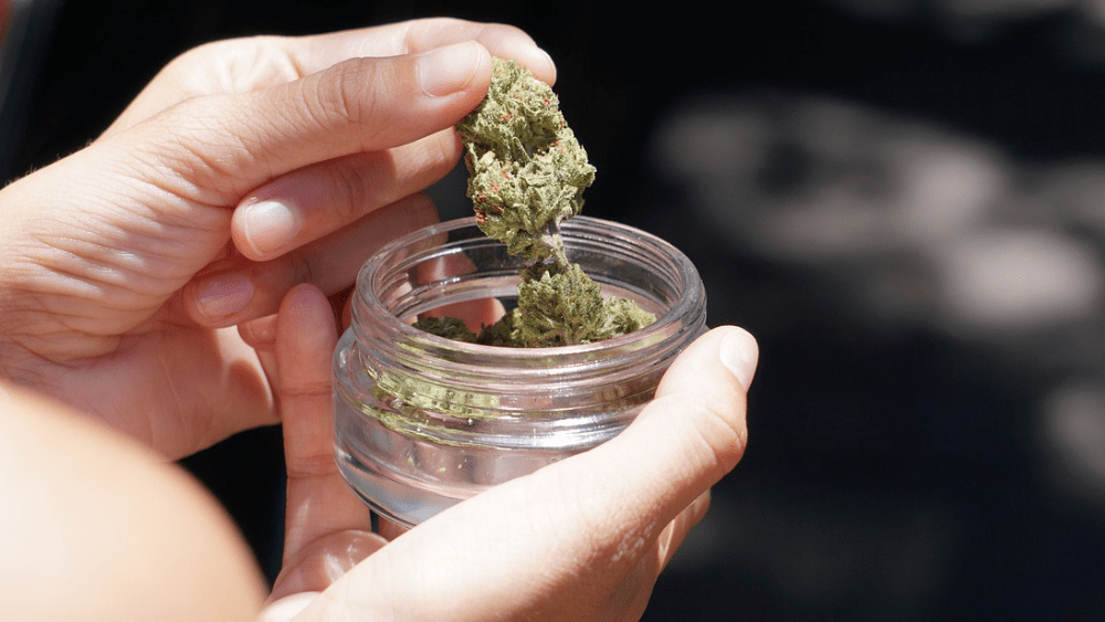Minnesota's First Non-Tribal Cannabis Dispensary Opens