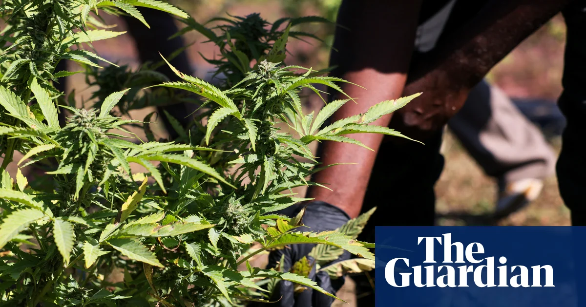 New bill proposes to ease cannabis research restrictions
