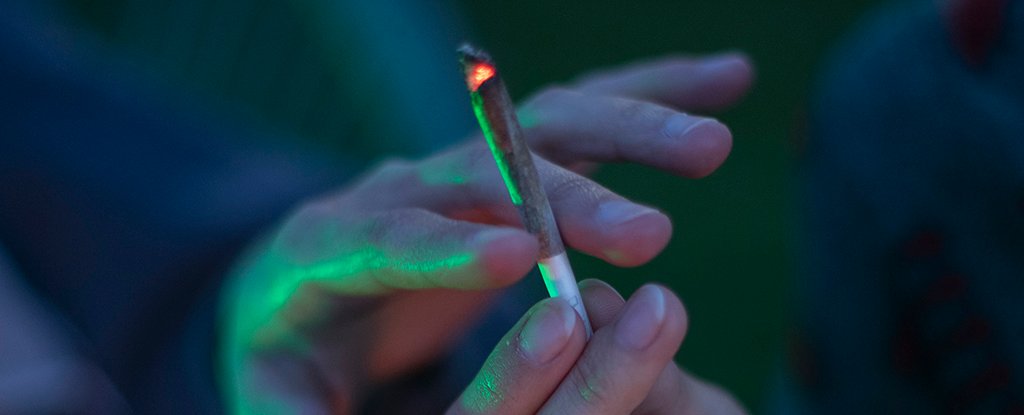 New study shows cannabis use does not lower sperm quality