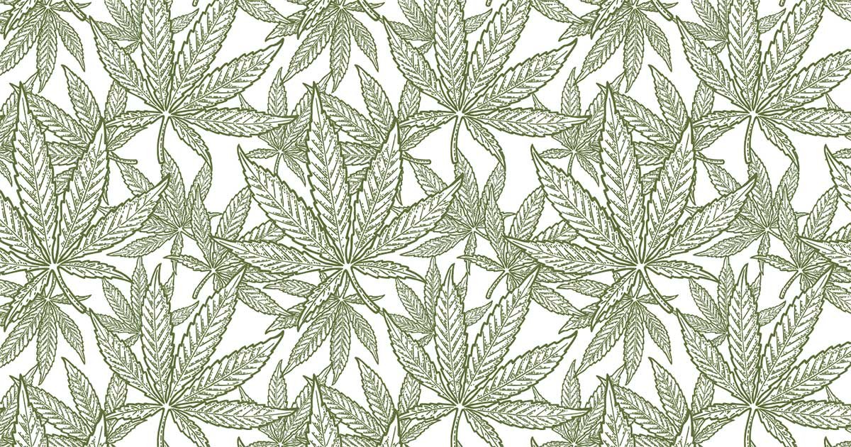 Familie aus dem Nordwesten von Arkansas erweitert Cannabis-Besitz mit Kauf