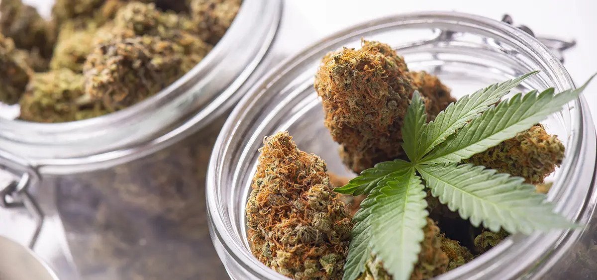 Washington nimmt Anträge für 52 neue Cannabislizenzen entgegen