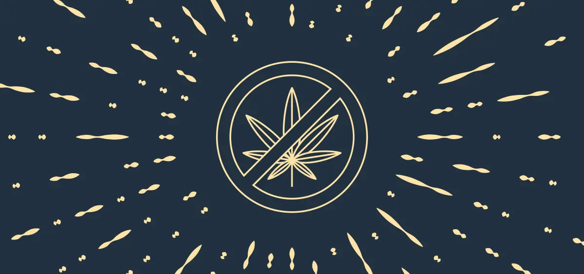 Wisconsin Republicans Reject Cannabis Legalization in Budget