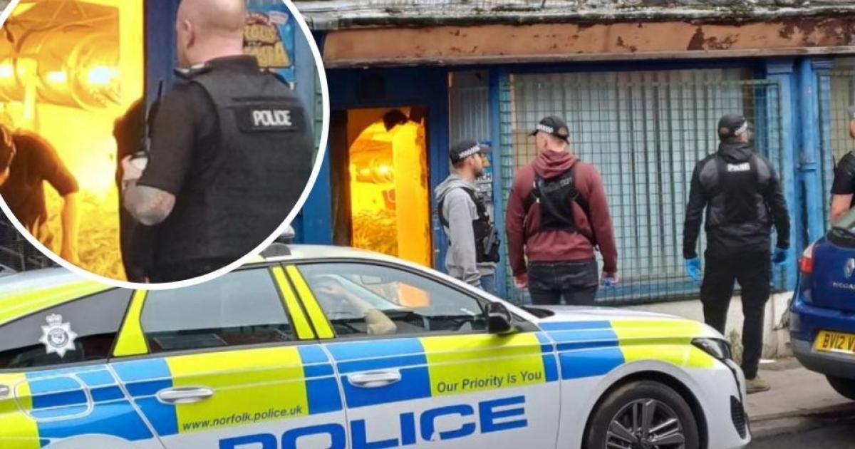 Albanischer Mann nach Fund einer Cannabisfarm in Norwich angeklagt