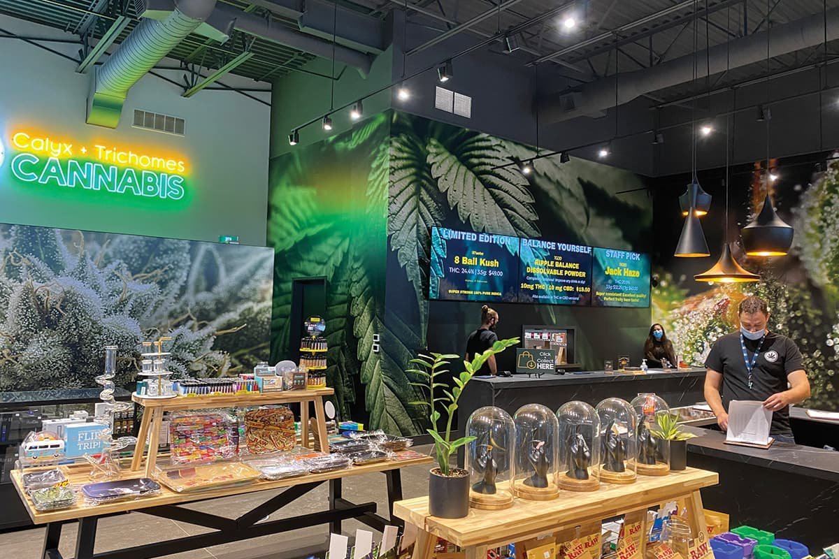 Foliage Cannabis Co. otevírá nový obchod v Rocklandu