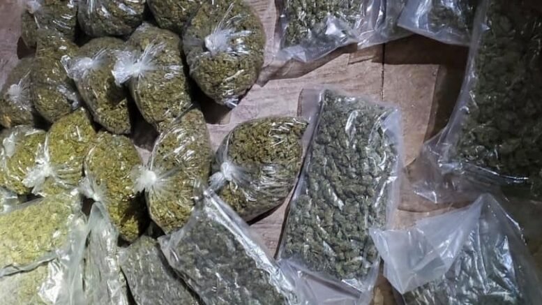 Fahrer reklamiert Mietwagen, nachdem die Polizei ein Marihuana-Versteck gefunden hat