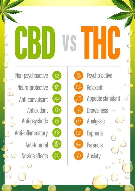 Verbraucher entdecken die Vorteile von CBD- und THC-Gummis