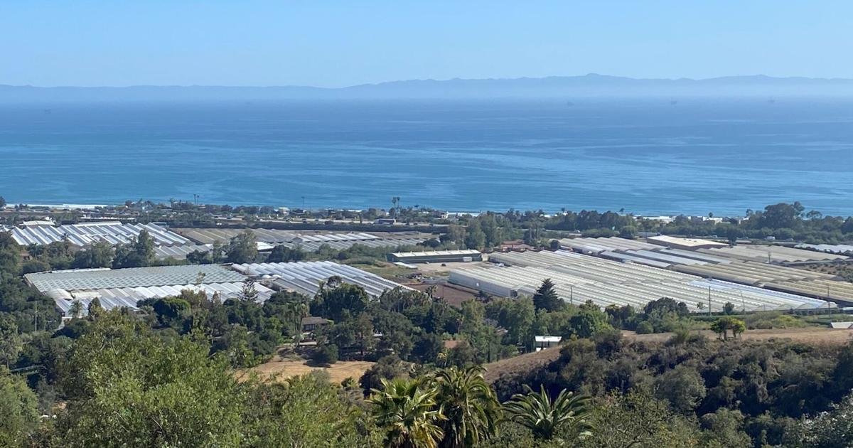 County Supervisors Cut $1.4 Million from Cannabis Budget