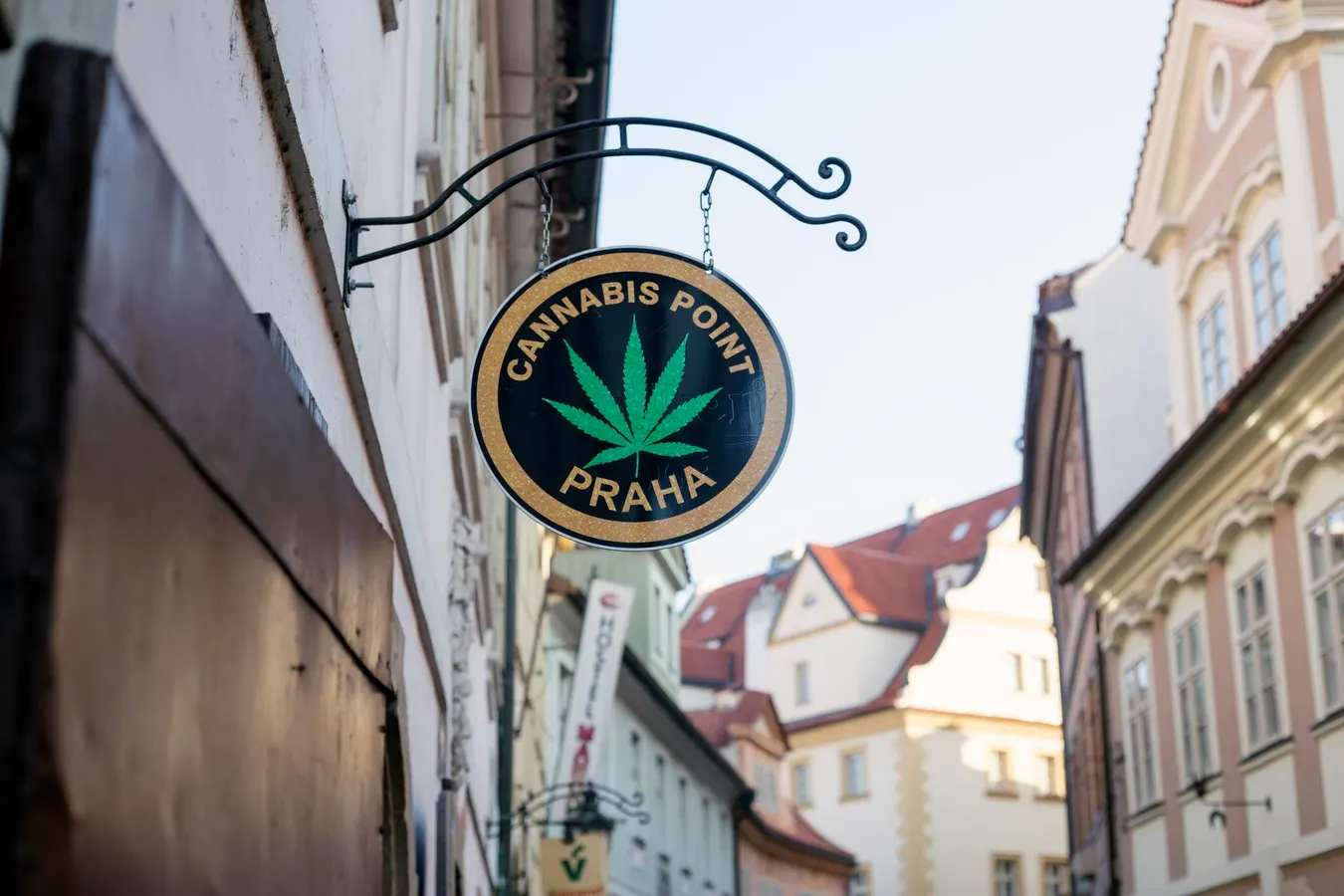 Česká republika dekriminalizuje konopí v době, kdy se legalizace odkládá