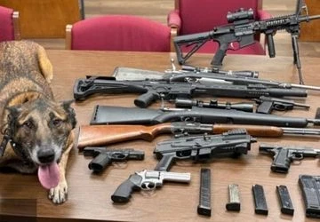JCSO Traffic Stop Leads to Major Drug Seizure with K-9 Youp