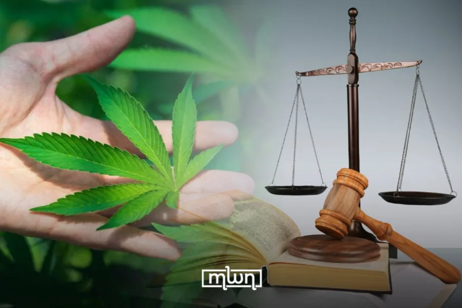 Marokkos Cannabis-Legalisierung verändert die Landwirtschaft und Wirtschaft