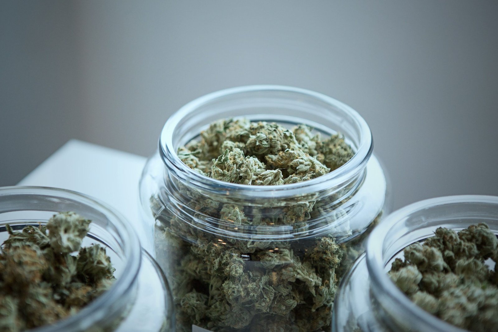 Pennsylvania Senate Advances Cannabis Legalization Efforts
