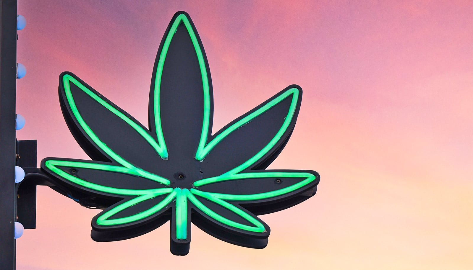 Studie verbindet Cannabiskonsumstörung mit erhöhten psychiatrischen Risiken