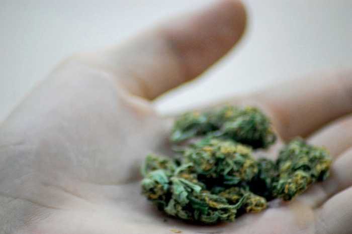 Studie bringt Cannabiskonsum mit erhöhtem Herzrisiko in Verbindung