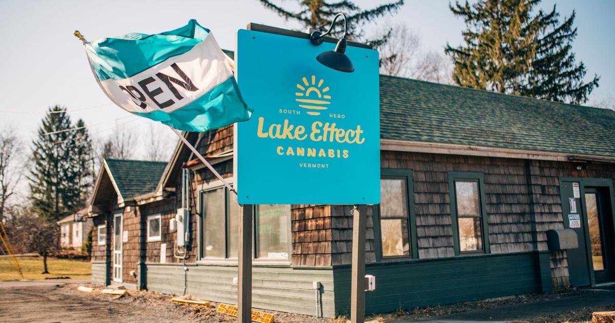 Sunset Lake Cannabis je lídrem udržitelného zemědělství ve Vermontu