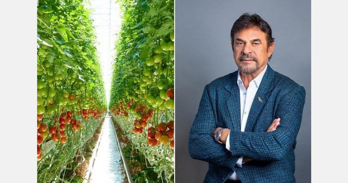 Village Farms Completes Produce Spin-Off to Focus on Cannabis