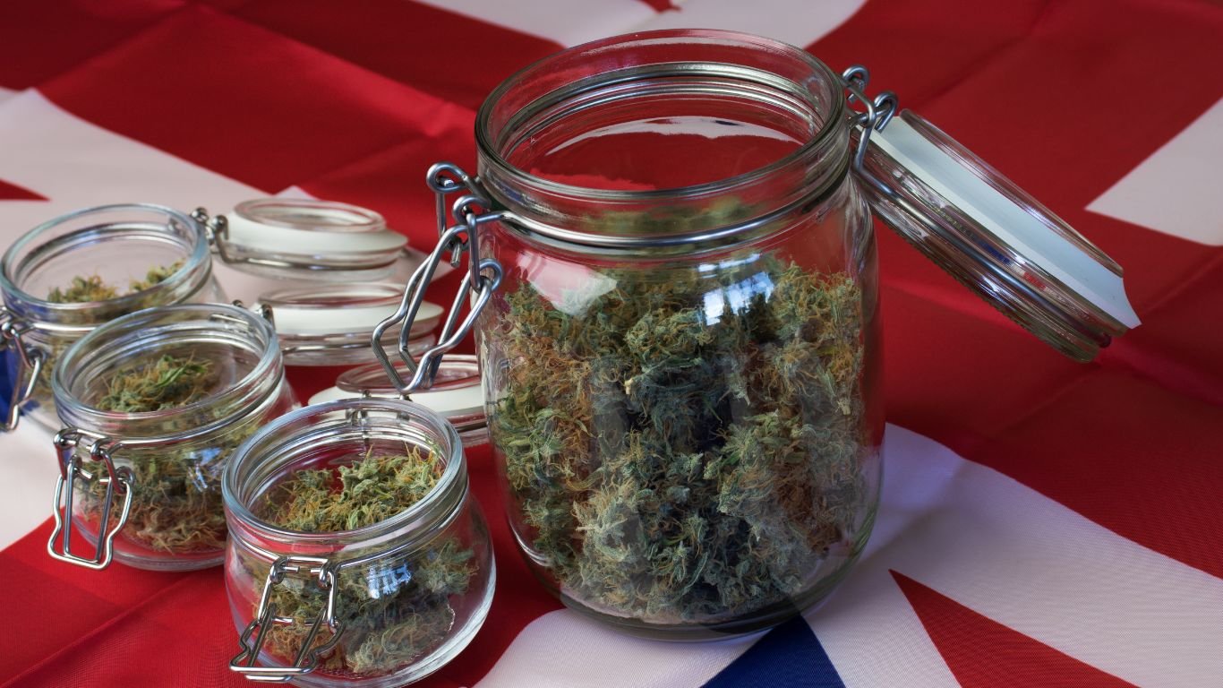 Canada Supplies Majority of UK Medical Cannabis