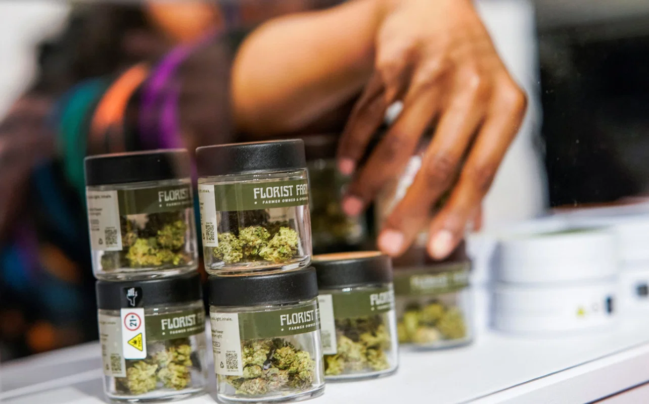 Cannabis price drop signals market maturity