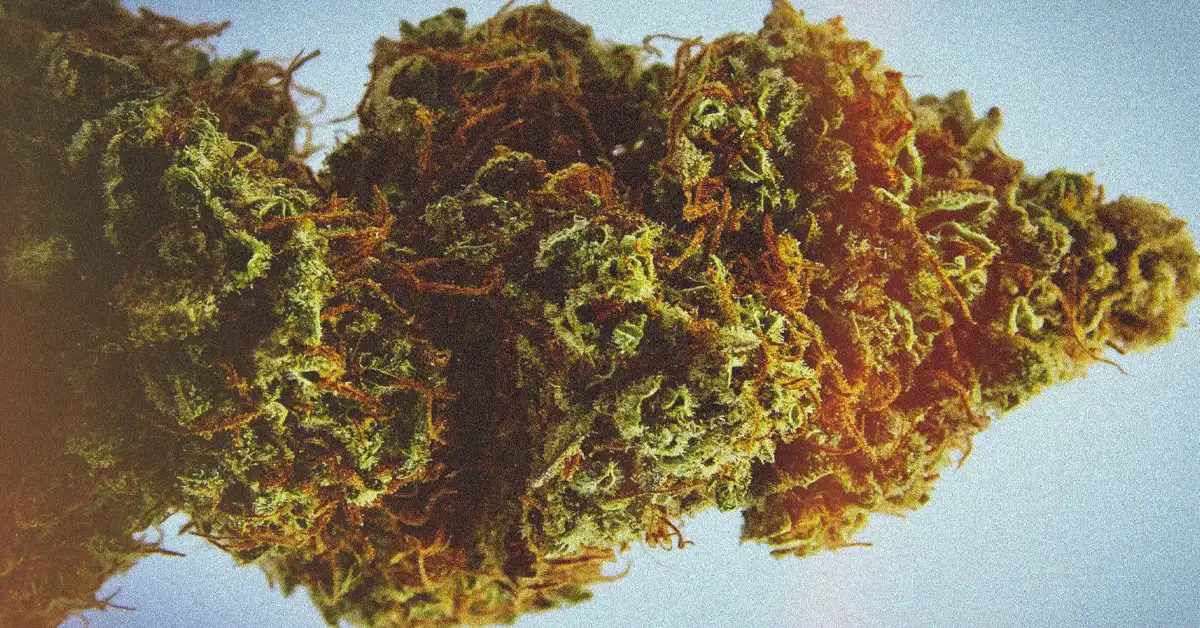 Cannabis sales rise in Connecticut as prices tick up