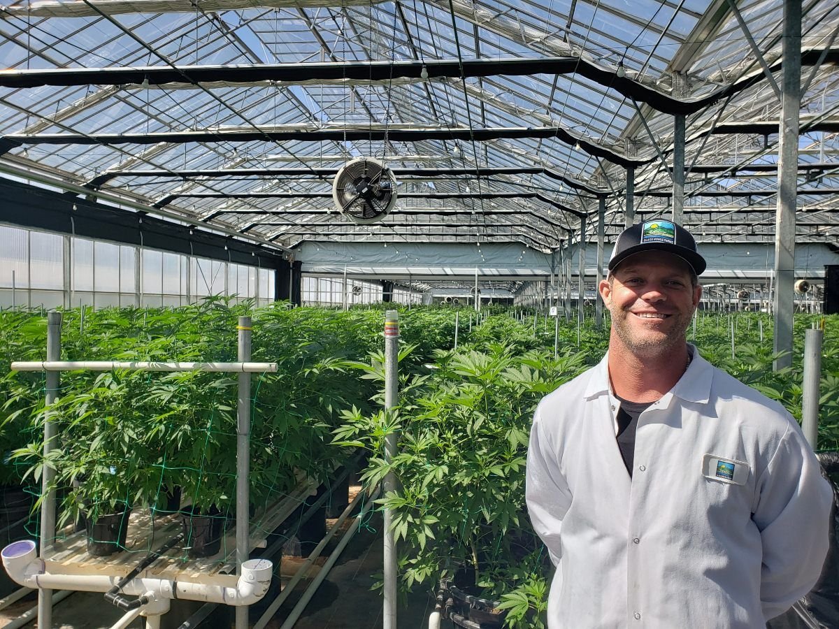 Glass House uplists medical cannabis to NYSE