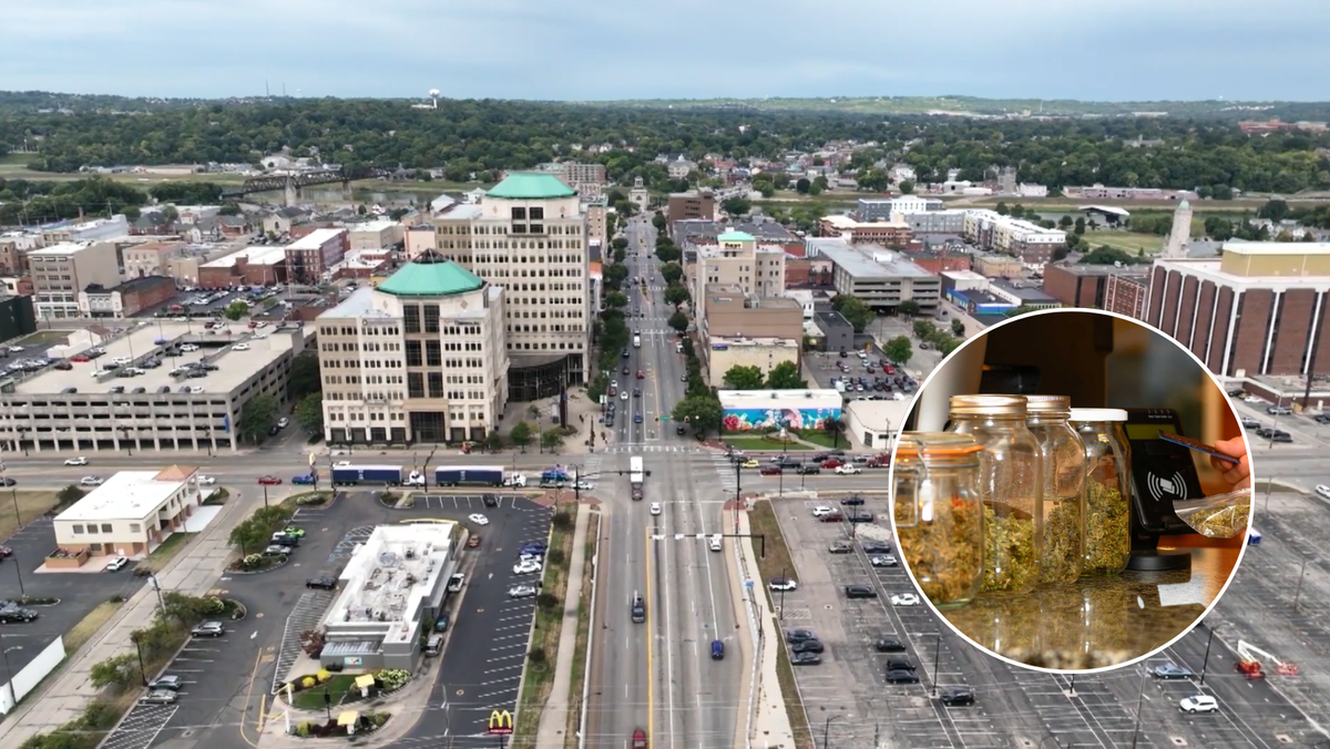 Hamilton Council Votes on cannabis dispensaries Zoning