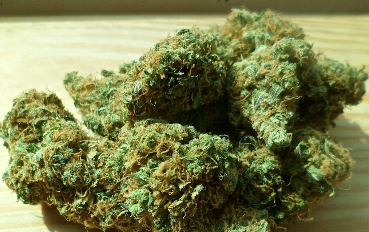 Jim Cramer Backs trulieve cannabis as 'Terrific Spec'