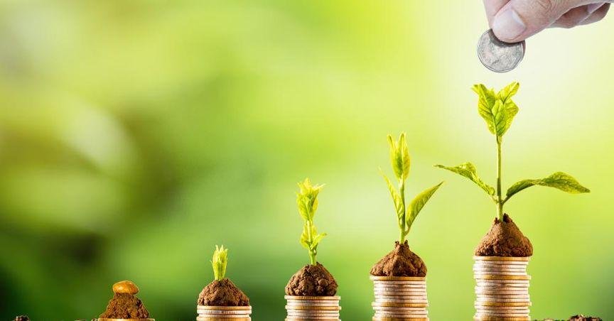 Kanabo Group Adapts to UK medical cannabis Access Rules