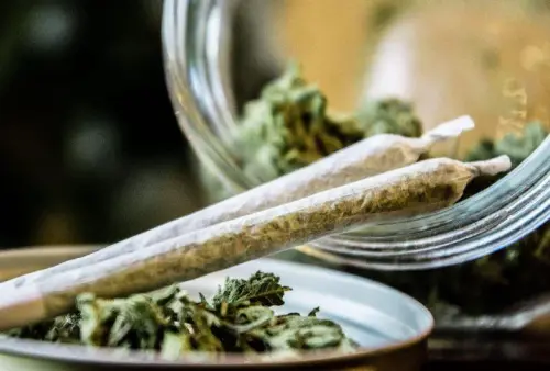 pendleton cannabis: Council approves new retailer