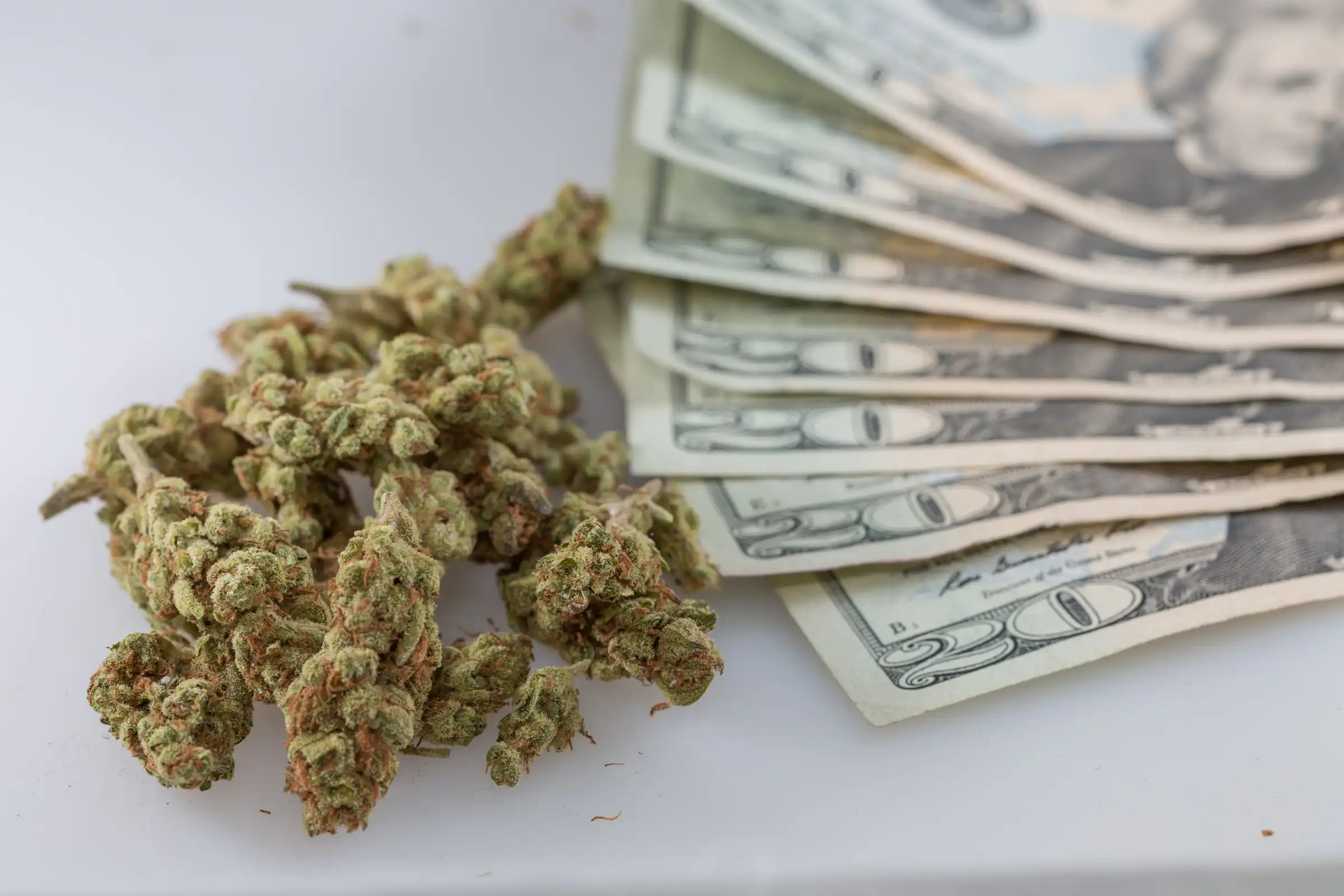 States Report cannabis tax revenue Near $15 Billion