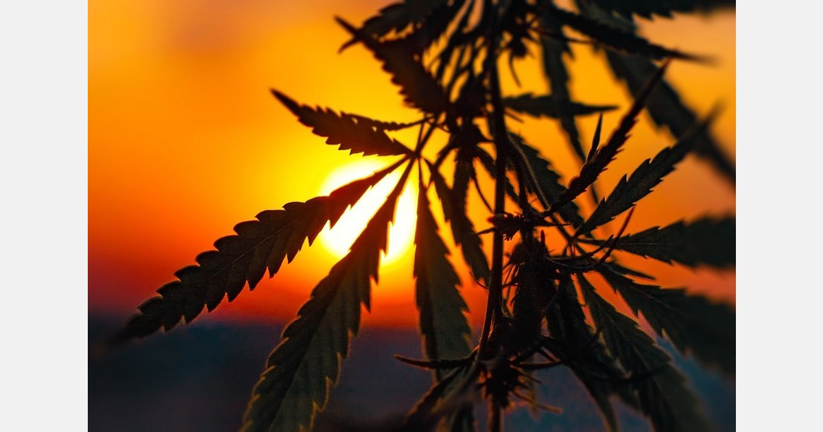DOJ Order Leaves tribal cannabis Programs Out